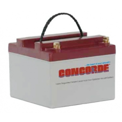 CONCORDE SEALED BATTERY RG24-12