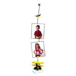 BIPLANE MAGNETIC PICTURE POLE