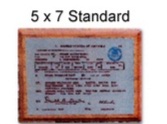 PILOT LICENSE WALL PLAQUES