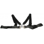 Seat Belts & Harnesses