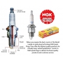 NGK SPARK PLUGS