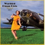 2012 WARBIRD PINUP CALENDAR