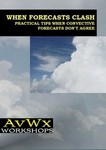 AVWX WHEN  FORECASTS  CLASH CD