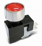 PUSH BUTTON