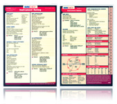 SURECHECK INSTRUMENT  RATING CHECKLIST