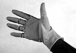 LATEX GLOVES