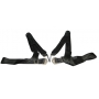 STYLE NO. 3C TWO STRAP SHOULDER HARNESS