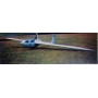 ULTRALIGHT & LIGHT SELF LAUNCHING SAILPLANES