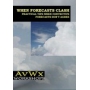 AVWX WHEN  FORECASTS  CLASH CD