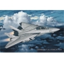 GRUMMAN F-14 TOMCAT PLUS POSTER