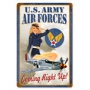 AIR FORCES PIN UP VINTAGE METAL SIGN