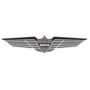 Aviator Decal