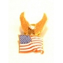 AMERICAN FLAG WITH EAGLE LAPEL PIN