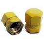 2525 VALVE CAP MS20813-1B