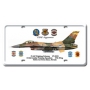 F-16C FIGHTING FULCRUM LICENSE PLATE