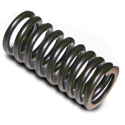 TCM 24031 Valve Spring