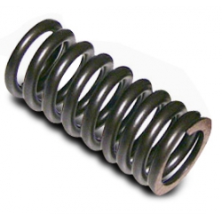 TCM 24031 VALVE SPRING