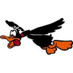 FLYING DUCK DECAL LARGE