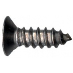 C10X8 10X1/2-A-FL-PH SS SCREW