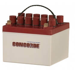 CONCORDE BTRY CB24-11 W/ACID from Concorde Battery