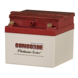 Concorde Sealed Battery RG24-11M from Concorde Battery