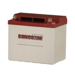 CONCORDE SEALED BATTERY RG-25 from Concorde Battery