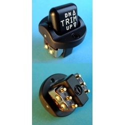 TRIM SWITCH CA100-1