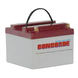 Concorde Sealed Battery RG24-12