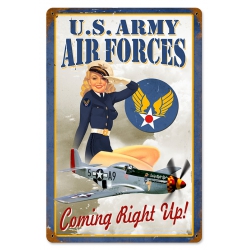 MTL SIGN AIR FORCES PIN UP