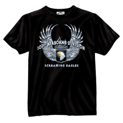 BLACK INK 101ST AIRBORNE DIVISION T-SHIRT - LARGE