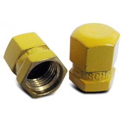 VALVE CAP MS20813-1 # 2525