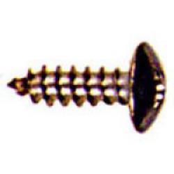 4X1/2-A-TR-PH-SS SHT MET SCREW