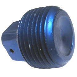 AN FITTINGS AN913-2 BRASS PLUG