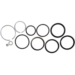 TCNS-1 SEAL KIT NOSE (TCNS-1)