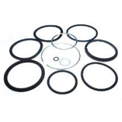 PIPER MAIN/NOSE STRUT SEAL KIT (TP34MS-1)