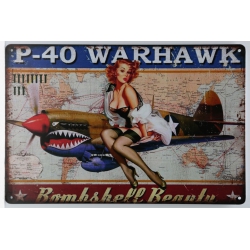 P-40 WARHAW PINUP GIRL VINTAGE METAL SIGN 30x20 cm