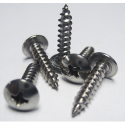 6X5/8-A-Tr-Ph-Stainless Steel Sht Met Screw