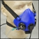 MH ALPS MEDIUM CONSTANT FLOW FACEMASK W/ MIC