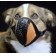 AEROX PET MASK LARGE