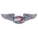 NATIONAL AIR RACES OVAL METAL SIGN 35X10