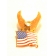 LAPEL PIN AMERICAN FLAG/EAGLE